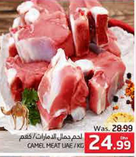  Camel meat  in PASONS GROUP in UAE - Al Ain
