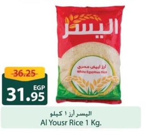  Egyptian / Calrose Rice  in Spinneys  in Egypt - Cairo