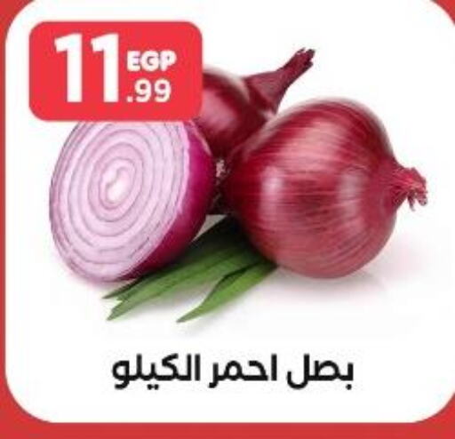 Onion  in مارت فيل in Egypt - القاهرة