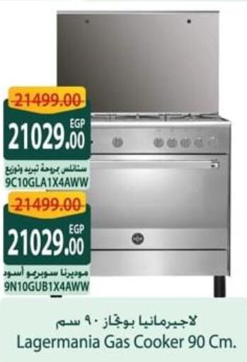  Gas Cooker/Cooking Range  in Spinneys  in Egypt - Cairo