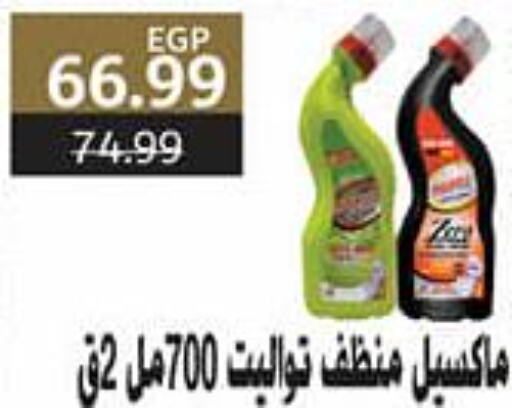  Toilet / Drain Cleaner  in AlSultan Hypermarket in Egypt - Cairo