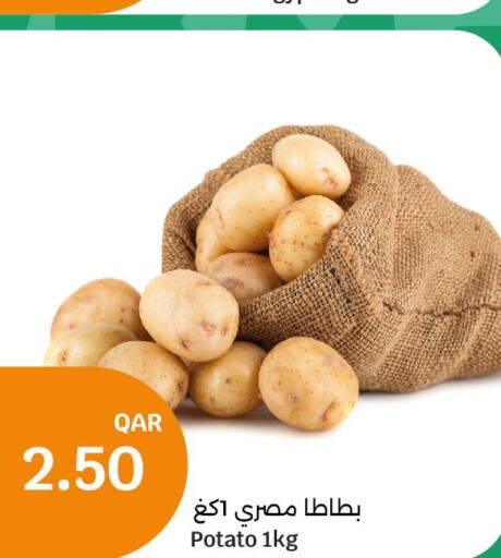  Potato  in City Hypermarket in Qatar - Al Wakra