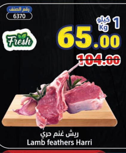  Mutton / Lamb  in متاجر السعودية in مملكة العربية السعودية, السعودية, سعودية - جدة
