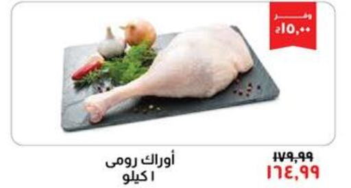  Chicken Burger  in Kheir Zaman  in Egypt - Cairo