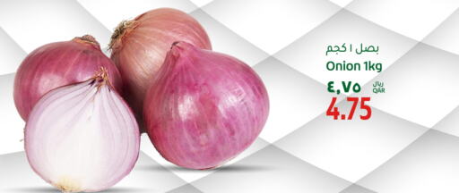  Onion  in Gulf Food Center in Qatar - Al Wakra