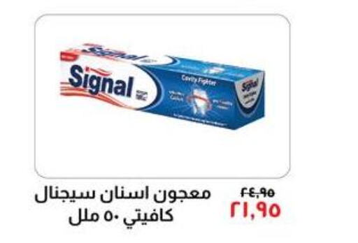 SIGNAL Toothpaste  in Kheir Zaman  in Egypt - Cairo