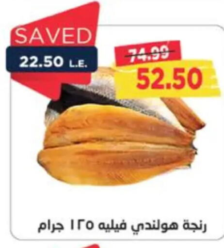  Minced Chicken  in Metro Market  in Egypt - Cairo