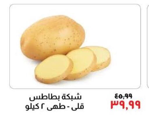  Potato  in Kheir Zaman  in Egypt - Cairo