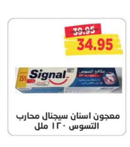 SIGNAL Toothpaste  in مترو ماركت in Egypt - القاهرة