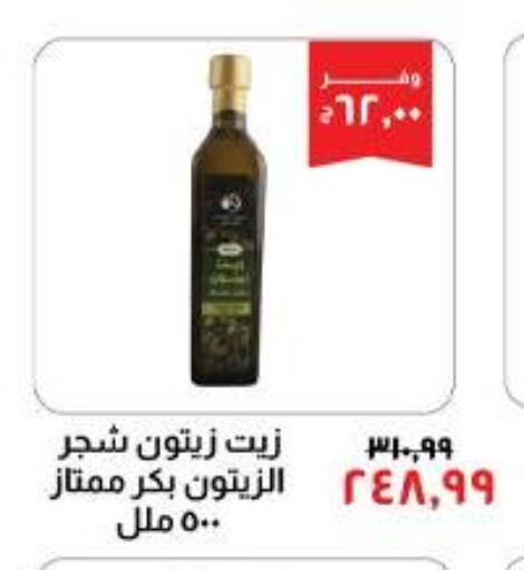  Olive Oil  in Kheir Zaman  in Egypt - Cairo
