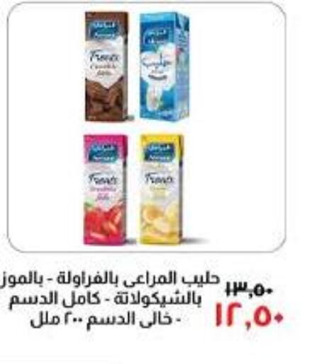 ALMARAI Flavoured Milk  in Kheir Zaman  in Egypt - Cairo