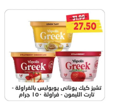  Greek Yoghurt  in Metro Market  in Egypt - Cairo