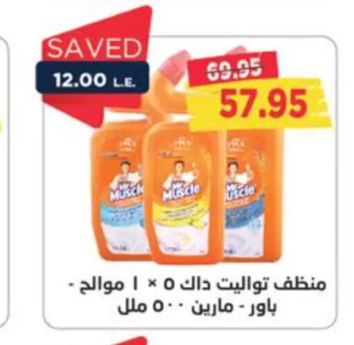 MR. MUSCLE Disinfectant  in Metro Market  in Egypt - Cairo