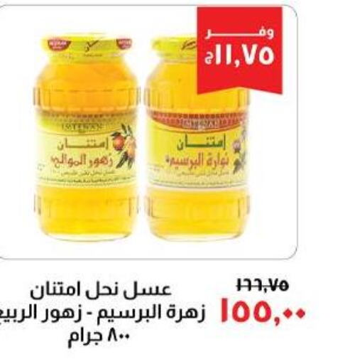  Honey  in Kheir Zaman  in Egypt - Cairo