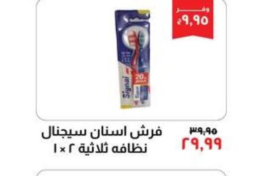 SIGNAL Toothbrush  in Kheir Zaman  in Egypt - Cairo