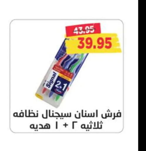 SIGNAL Toothbrush  in Metro Market  in Egypt - Cairo
