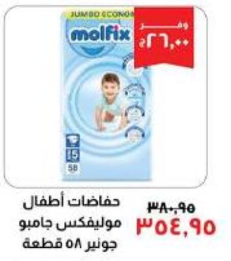 MOLFIX   in Kheir Zaman  in Egypt - Cairo