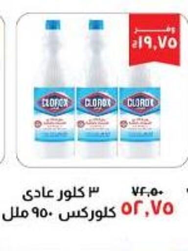 CLOROX General Cleaner  in Kheir Zaman  in Egypt - Cairo
