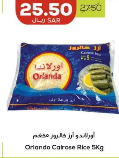 Egyptian / Calrose Rice  in Astra Markets in KSA, Saudi Arabia, Saudi - Tabuk