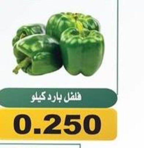  Chilli / Capsicum  in جمعية الحرس الوطني in الكويت - مدينة الكويت