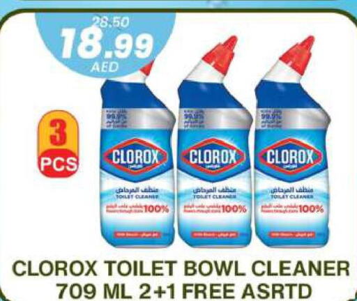 CLOROX Toilet / Drain Cleaner  in جراند هايبر ماركت in الإمارات العربية المتحدة , الامارات - دبي