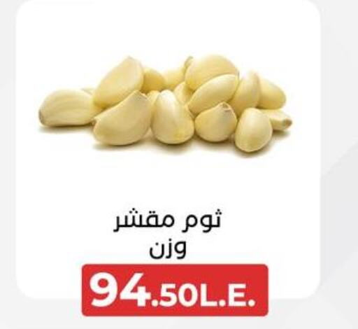  Garlic  in Arafa Market in Egypt - Cairo