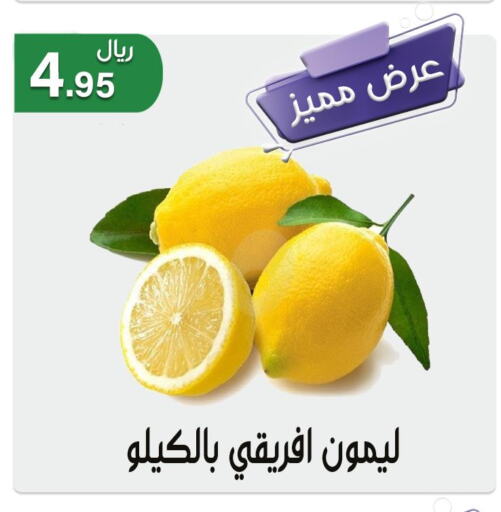 Mango   in جوهرة المجد in مملكة العربية السعودية, السعودية, سعودية - أبها