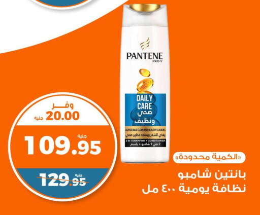PANTENE Shampoo / Conditioner  in Kazyon  in Egypt - Cairo