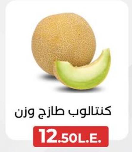  Sweet melon  in عرفة ماركت in Egypt - القاهرة