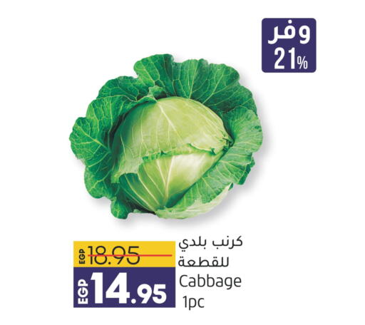  Cabbage  in لولو هايبرماركت in Egypt - القاهرة
