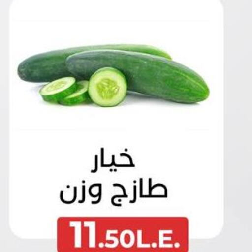 Cucumber  in Arafa Market in Egypt - Cairo
