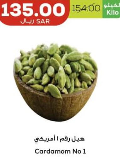  Dried Herbs  in Astra Markets in KSA, Saudi Arabia, Saudi - Tabuk