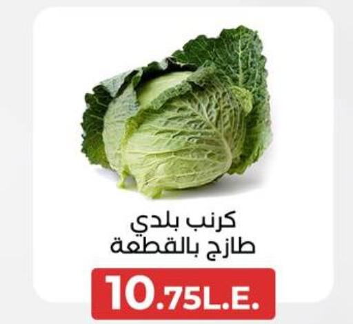  Cabbage  in عرفة ماركت in Egypt - القاهرة
