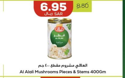 AL ALALI   in Astra Markets in KSA, Saudi Arabia, Saudi - Tabuk