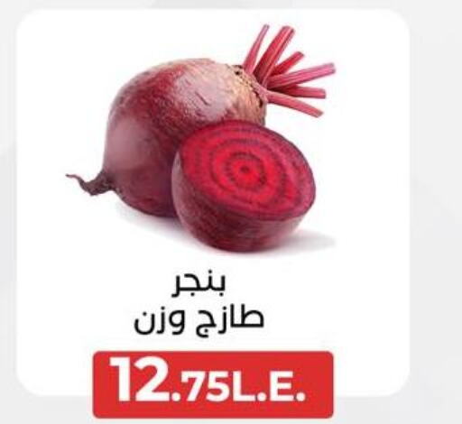  Garlic  in عرفة ماركت in Egypt - القاهرة