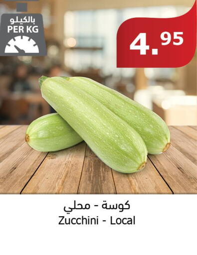  Zucchini  in Al Raya in KSA, Saudi Arabia, Saudi - Yanbu