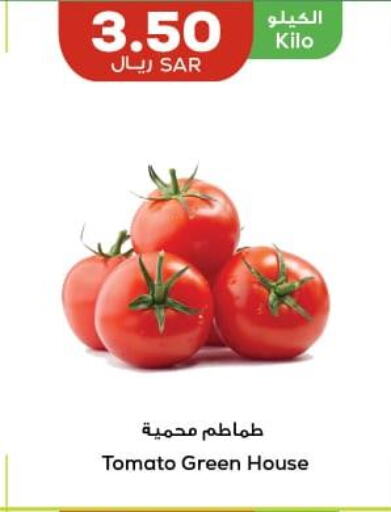 Tomato  in أسواق أسترا in مملكة العربية السعودية, السعودية, سعودية - تبوك