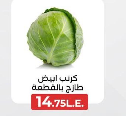  Cabbage  in عرفة ماركت in Egypt - القاهرة