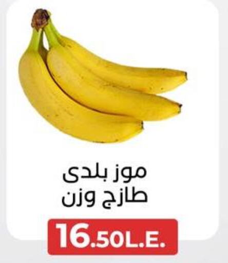  Banana  in عرفة ماركت in Egypt - القاهرة
