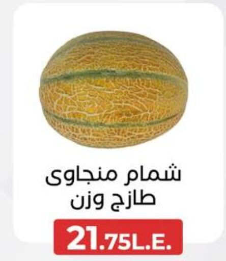  Sweet melon  in Arafa Market in Egypt - Cairo