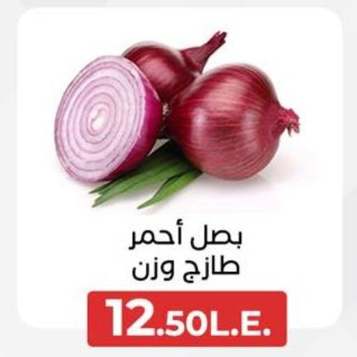  Onion  in Arafa Market in Egypt - Cairo