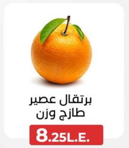  Orange  in عرفة ماركت in Egypt - القاهرة