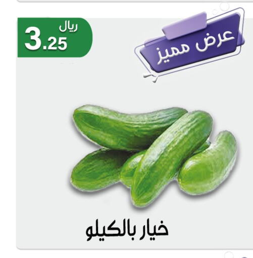 Cucumber  in Jawharat Almajd in KSA, Saudi Arabia, Saudi - Abha