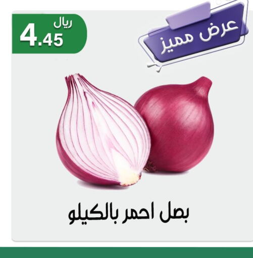  Onion  in Jawharat Almajd in KSA, Saudi Arabia, Saudi - Abha