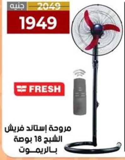 FRESH Fan  in المرشدي in Egypt - القاهرة