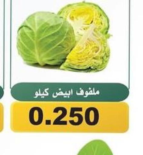  Cabbage  in جمعية الحرس الوطني in الكويت - مدينة الكويت
