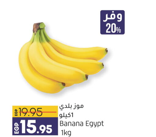  Banana  in لولو هايبرماركت in Egypt