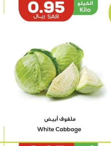  Cabbage  in Astra Markets in KSA, Saudi Arabia, Saudi - Tabuk