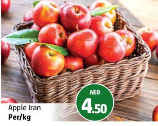  Apples  in Al Hooth in UAE - Ras al Khaimah