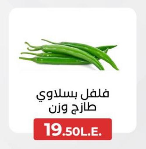  Chilli / Capsicum  in عرفة ماركت in Egypt - القاهرة
